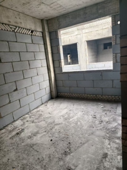 出售桃源小學(xué)旁大梁莊自建新樓房